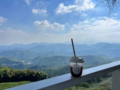 -莫干山风景区