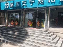 -瑞派天宁宠物医院·猫科·异宠中心