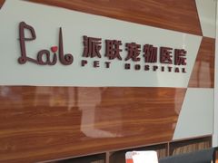 -派联宠物医院·24h·CT·异宠