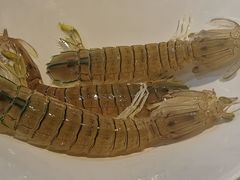 -越百海海鲜蒸锅(乐山店)