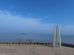 -上海滨江森林公园