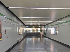 -金科路(地铁站)