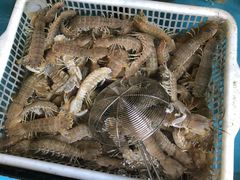 -老郑海鲜楼(天桥店)