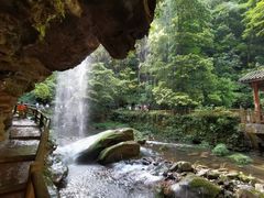 -碧峰峡风景区