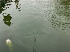 -DGE季风钓虾营地·团建·聚会