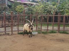 -呀路古热带植物园