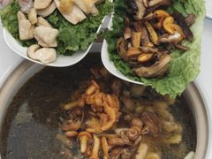 -爱膳菌锅锅(阳南店)