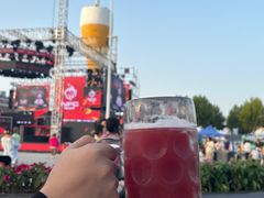 -第35届青岛国际啤酒节