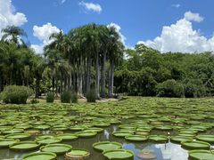 -中国科学院西双版纳热带植物园