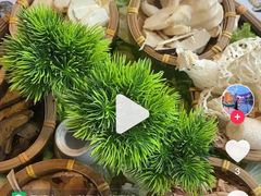 -菌彩云南野生菌火锅(呈贡七彩云南第壹城店)
