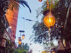 -The Grounds of Alexandria