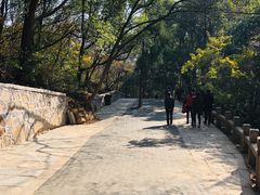 -灵岩山风景区