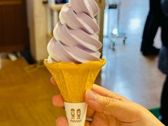 -富田农场
