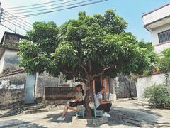 -三溪村