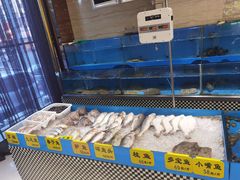 水产区-红高粱大酒店(宁山东路店)