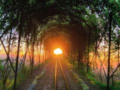 -合肥滨湖国家森林公园