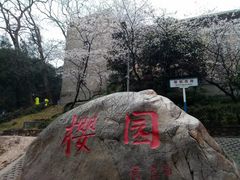 -武汉大学-樱园