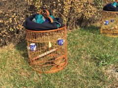 -长春世界雕塑园冰雪艺术天地