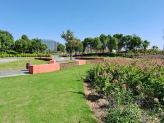 -春花秋色城市公园