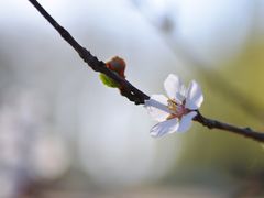 -长春公园(普阳街道)