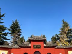 -洛阳白马寺