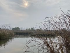 -盐城丹顶鹤湿地生态旅游区