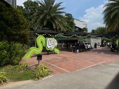 -圣淘沙天际线斜坡滑车