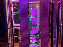 -金青果甄选KTV(劳动公园店)