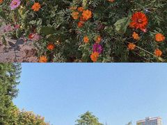 -晓港公园