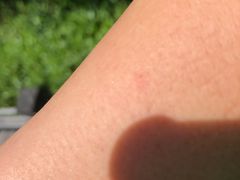 -苏州香山国际大酒店