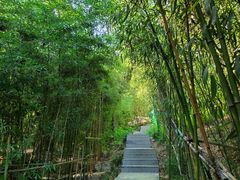 -竹子庵公园