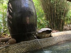 -三亚珠江南田温泉度假区