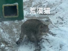 -青藏高原野生动物园