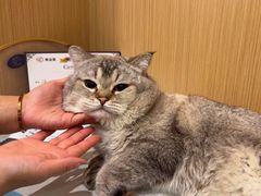 -美迦爱-牙专科·兔科·骨科诊疗中心(北苑店)