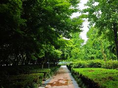 -蠡湖大桥公园