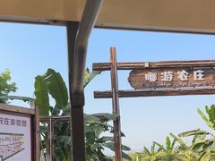 -西双版纳傣族园