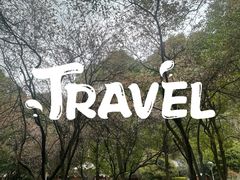 -黔灵山公园