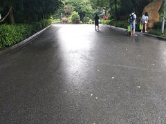 -金鸡山公园