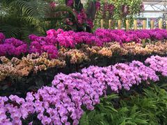 -兰陵国家农业公园