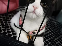 -SAH健身私教工作室(紫东店)