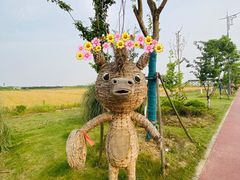 -梁鸿国家湿地公园