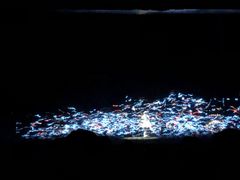 -郑州方特梦幻王国