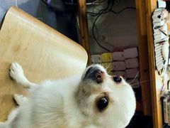 -A+摄影