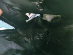 -荔康动物医院(康王北路店)