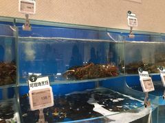 水产区-7fresh七鲜(大族广场店)