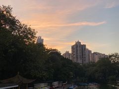 -晓港公园