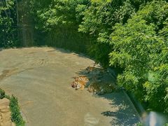 -大连森林动物园