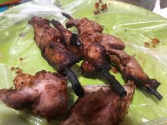 红柳羊肉串-艾力江和田馕坑烤肉店