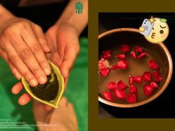 -健身堂科技美肌SPA
