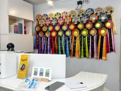 -青奢宠物·青奢猫舍